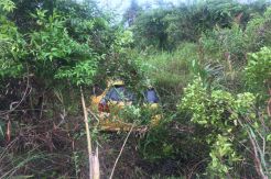 Tabrak Monyet, Pembalap Tanjungpinang Nyusruk ke Semak-semak