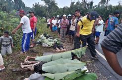 Truk Semen Tabrak Pikap di Kotawaringin Timur, 12 Penumpang Tewas
