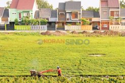 Pasokan Minim, Ribuan Pengusaha Penggilingan Padi Hentikan Produksi