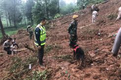 Pencarian Korban Tertimbun Longsor di Puncak Bogor Terkendala Cuaca