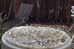 Konsumsi Air Hujan Saat Banjir Ancam Kesehatan Tubuh