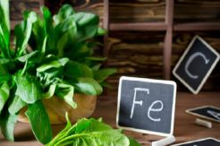 10 Fakta Tentang Anemia