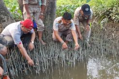 7 Anak Buaya Selundupan Dilepasliarkan