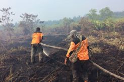 135 Hektare Lahan Terbakar, Polda Riau Bidik PT NSP