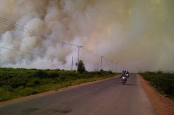 Kebakaran Lahan Gambut Meluas, Bupati Kobar Tetapkan Status Siaga Karhutla