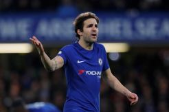 Lawan Barcelona, Fabregas Yakin Chelsea Bisa Ulangi Sukses 2012