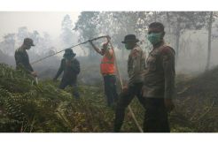 20 Hektare Lahan di Kalbar Terbakar, Api Dekati Perumahan Warga