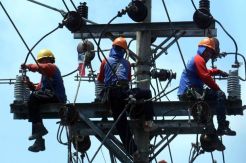 PLN Minta Pemerintah Setujui Usulan soal DMO