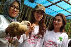 Ayam Biosolution Enzact...