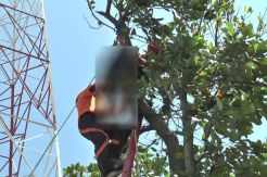 Rasman Tewas Tersetrum, Tubuhnya Tersangkut di Pohon