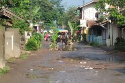 Jalan Rusak, Warga Tanam Pohon dan Ancam Golput di Pilkada