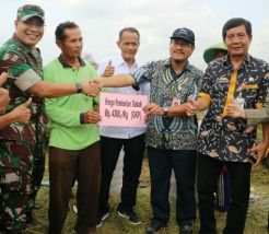 Serap Gabah Petani, Bulog Harus Gerak Cepat