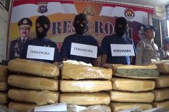 Polres Bukittinggi Gagalkan Peredaran 35 Kg Ganja
