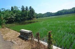 Kapolres dan Kasat Reskrim OKI Berbeda Keterangan soal Kasus Lahan Cetak Sawah