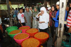 Peringati Hari Wanita...