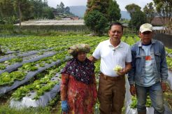 Janji Sejahterakan Petani, Sudrajat Terapkan Pola Pertanian Berbasis Industri