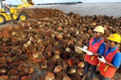 Dharma Satya Cetak Lonjakan Laba Bersih 133,4%