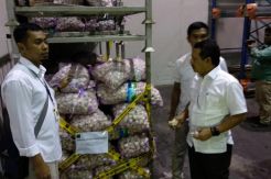 Gerebek Gudang, Kemendag Sita 5 Ton Bibit Bawang Putih