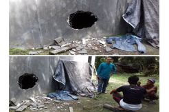 Pencuri Sarang Burung Walet Beraksi di Siang Bolong
