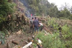 Akses Jalan Terputus, Petugas Gabungan Evakuasi Material Longsor