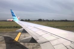 Ditabrak Burung, Pesawat Garuda Tunda Penerbangan
