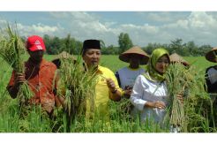Pasangan Arinal-Nunik Luncurkan Kartu Petani Berjaya