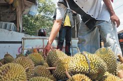 Dikeroyok Anggota Ormas,...