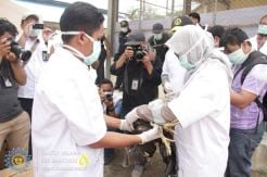 Bea Cukai Aceh dan Karantina Pertanian Musnahkan Ayam Jantan Ilegal dari Thailand