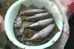 Lezatnya Ikan Pindang Buatan Rumahan di Pekalongan