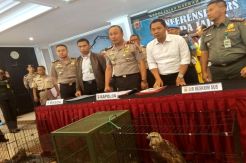 Perdagangkan Burung Elang Langka, Pemuda Ini Ditangkap Polda