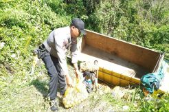 Pecah Ban, Truk Muatan Kentang Terguling ke Jurang