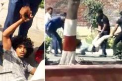 Viral Video Mahasiswa...