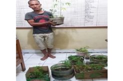 Budidayakan Tanaman...