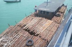 Bawa Kayu Bakau ke Singapura, Kapal Ini Diamankan TNI AL