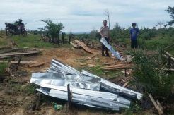 Kementerian LHK Digugat Terkait Izin Perusahaan di Riau