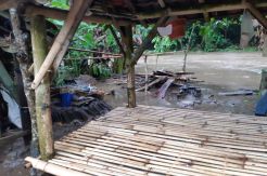 Sungai Ijo Gading Meluap,  Puluhan Rumah di Jembrana Terendam Banjir