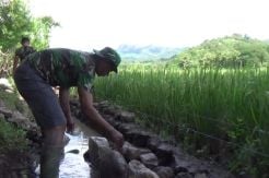 Irigasi Dibangun TNI, Warga Perbatasan RI-Timor Leste Berharap Panen 2 Kali Setahun