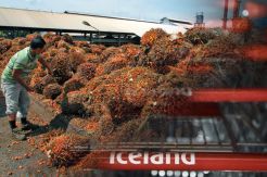 Diskriminasi Sawit, RI Protes Keras Supermarket Inggris