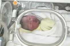 Shireen Sungkar dan Teuku Wisnu Dikaruniai Putri Ketiga