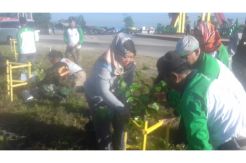 Peringati Hari Bumi, Bupati Kobar Tanam 100 Pohon di Bundaran Pangkalan Lima