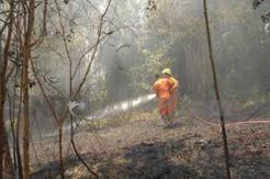 Jaga Kebakaran Hutan, 2 Desa Ini Diberi Rp100 Juta