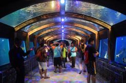 Yuk, Nikmati Wisata Malam TWP River World Purbasari