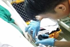 Diduga Kesetrum, Pimpinan Salah Satu Perusahaan Ditemukan Tewas di Hotel