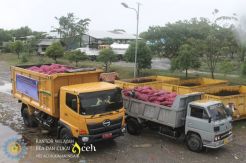 Tak Layak Konsumsi, Puluhan Ribu Kilogram Bawang Dimusnahkan Bea Cukai Aceh