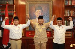Pasangan Asyik Bukan Kuda Hitam