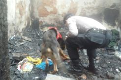 Ini Cerita K9 Roxana Temukan Korban Surya