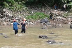 Geger, Potongan Kepala Manusia Tersangkut Bebatuan Sungai Cikao