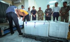 Bea Cukai Wujudkan Ekspor Udang Langsung Dari Ternate