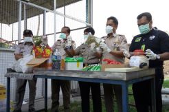 BBKP Bandara Soetta Musnahkan 650 Kg Komoditas Pertanian Ilegal
