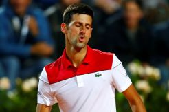 Permainan Terbaik Djokovic dalam 12 Bulan Terakhir